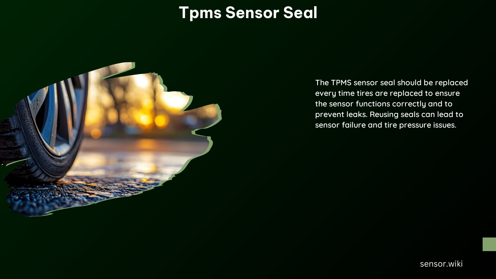 Tpms Sensor Seal